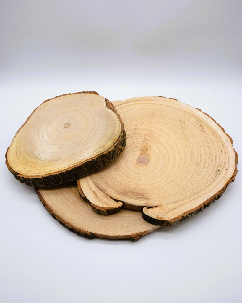 Holzscheiben-Dekorationsverleih-Hannover